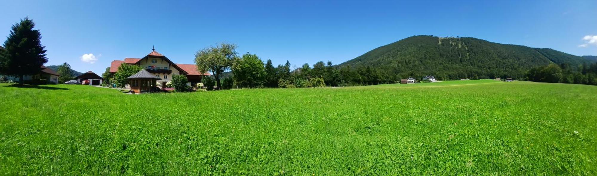 Vordergschwandtgut Apartment Faistenau Bagian luar foto